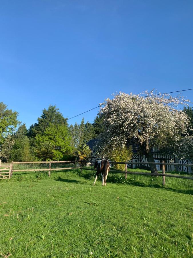 Gite Le Bonheur Est Dans Le Pre Saint-Pierre-Des-Ifs  Экстерьер фото