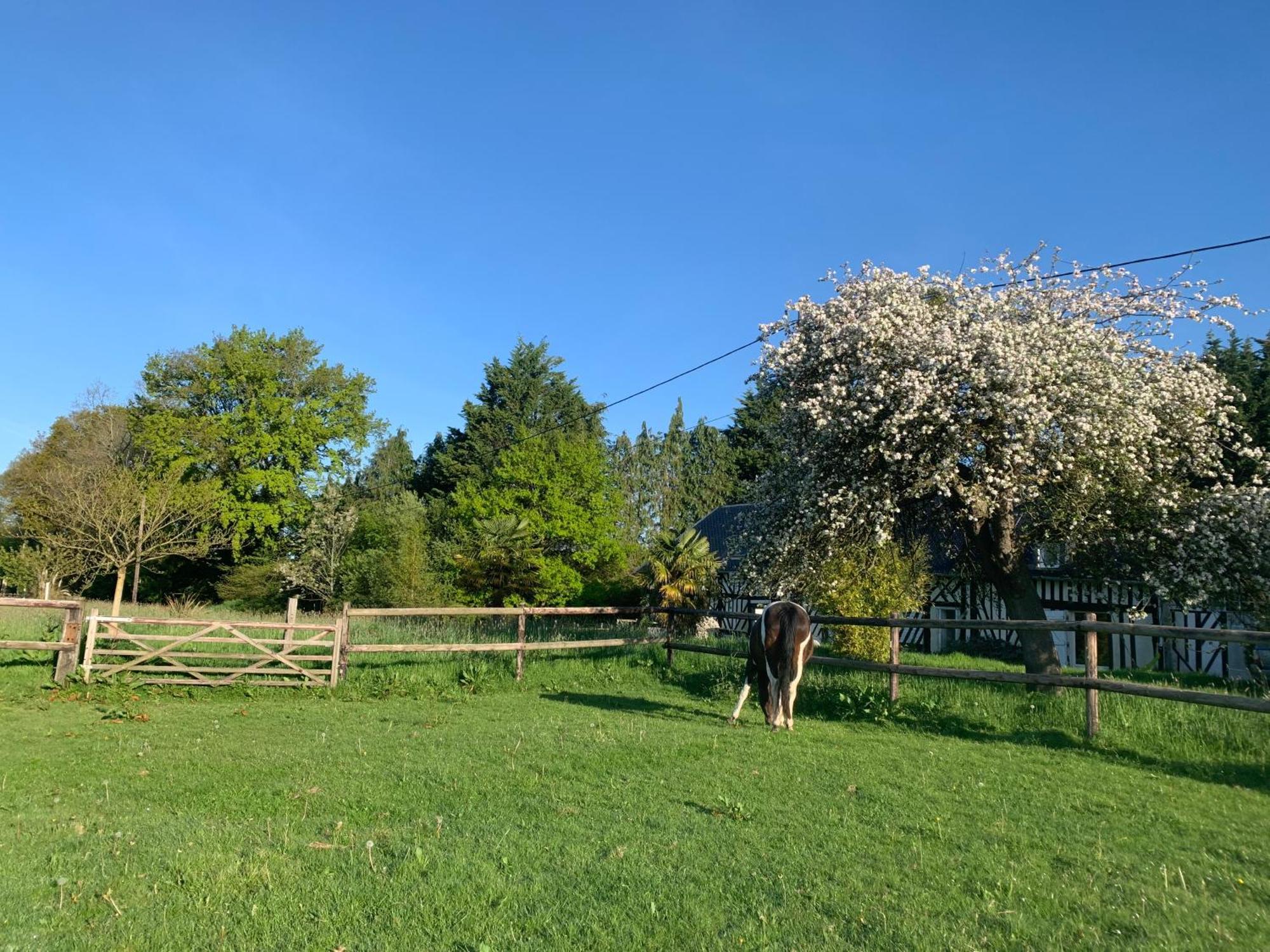 Gite Le Bonheur Est Dans Le Pre Saint-Pierre-Des-Ifs  Экстерьер фото